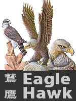 鷲鷹 An eagle Hawk 作品集