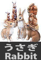 うさぎ作品集　Rabbit