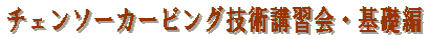 �`�F���\�[�J�[�r���O�Z�p�u�K��E��b��