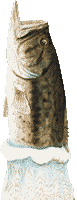 ubNoX