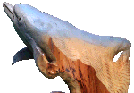 木彫刻　イルカ