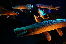 淡水巨大魚彫刻