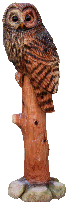 �ؒ��t�N���E