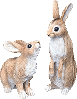 ウサギの姉妹　彫刻