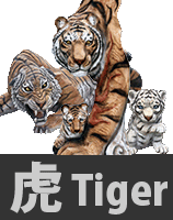 虎　Tiger 作品集