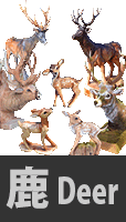 鹿彫刻作品集　Deer