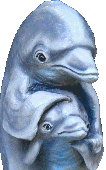 イルカ彫刻