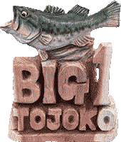 �u���b�N�o�X�g���t�B�[