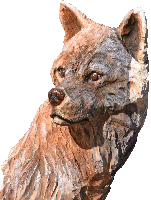 戌　犬　イヌ　彫刻