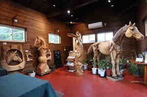 ウマ展