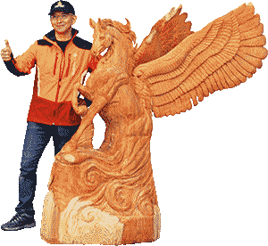 �y�K�T�X����