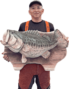 �����N���X�u���b�N�o�X