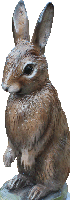 ウサギ　菟　彫刻